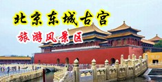 黑丝女生扣逼内射自慰视频中国北京-东城古宫旅游风景区